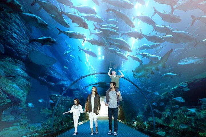 4. The Largest Suspended Aquarium