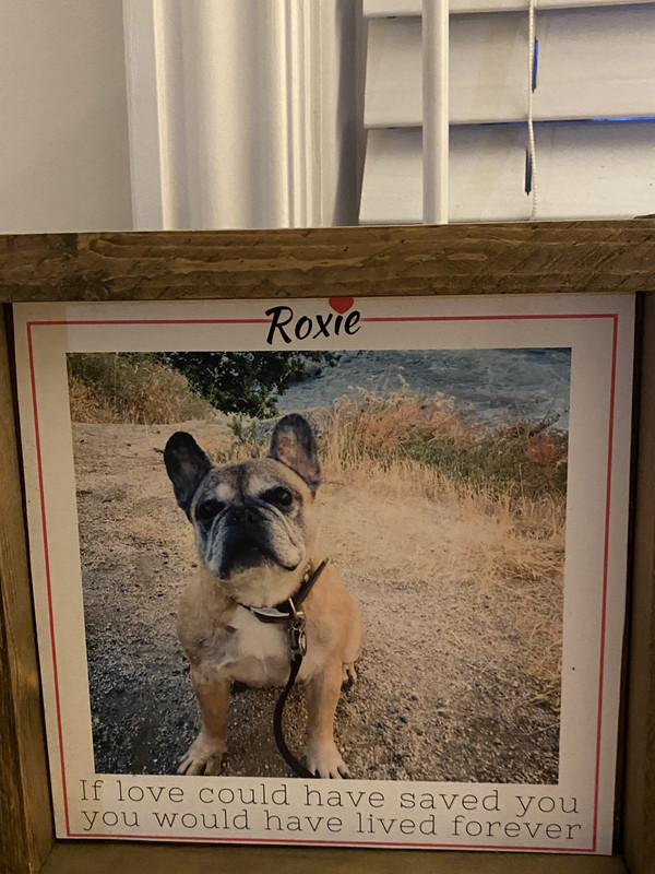 3DE673B6-D986-4CEC-A938-62DA5C58A9F4