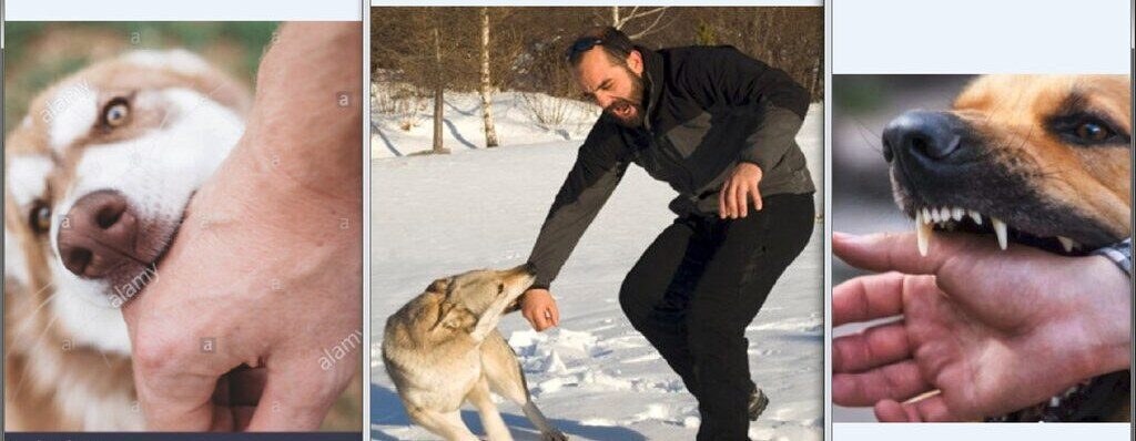 fotoefectos.com_ (4)