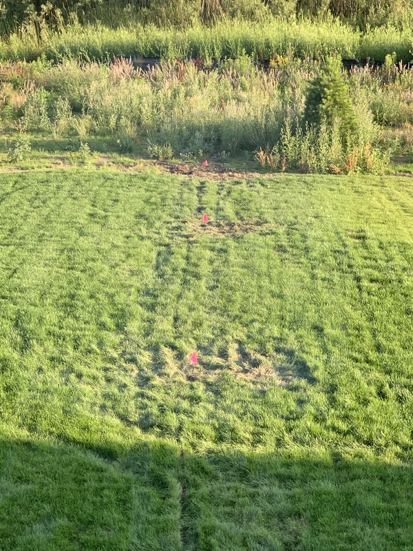 7EC85F62-ABBB-4F5E-B2B2-9DBFC49E0F2F