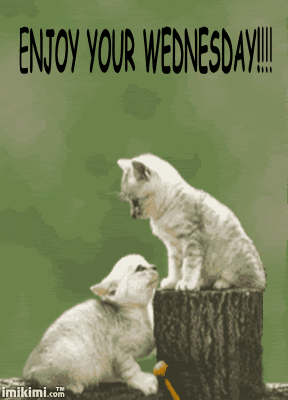 WEDNESDAY-mercredi-23