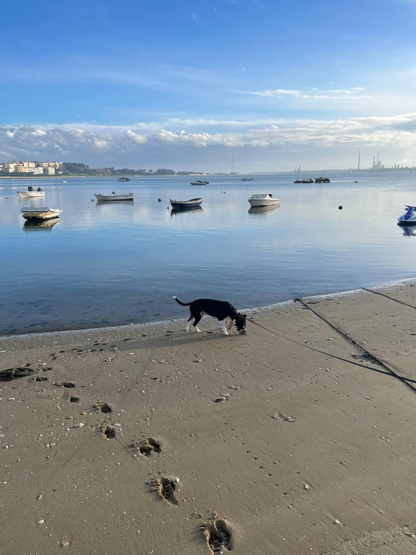 0C86C132-7A25-42BE-9F68-934580A0685D