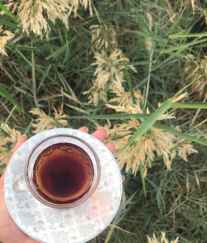 Screenshot_٢٠٢١٠٥٢٥_١٧٥٤٢٨