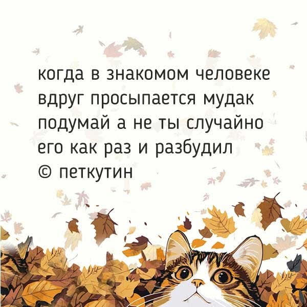 FB IMG 1769075765447