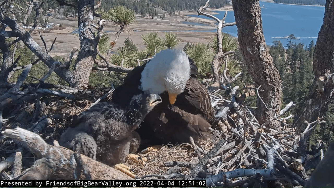 Webp.net-gifmaker (6)