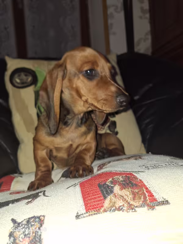 [Image: 20240930-174430.avif]