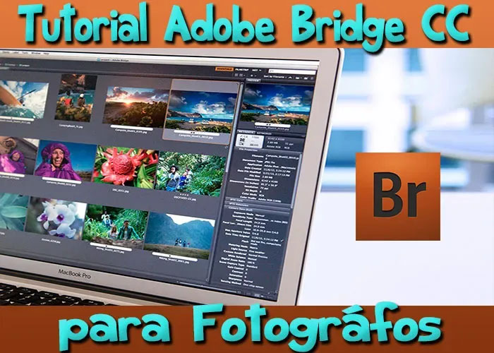 Curso Adobe Bridge CC para fotógrafos videotutoriales