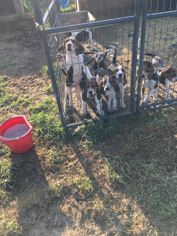 C2E20D0A-15A9-4FEF-8964-AF805AAB7507