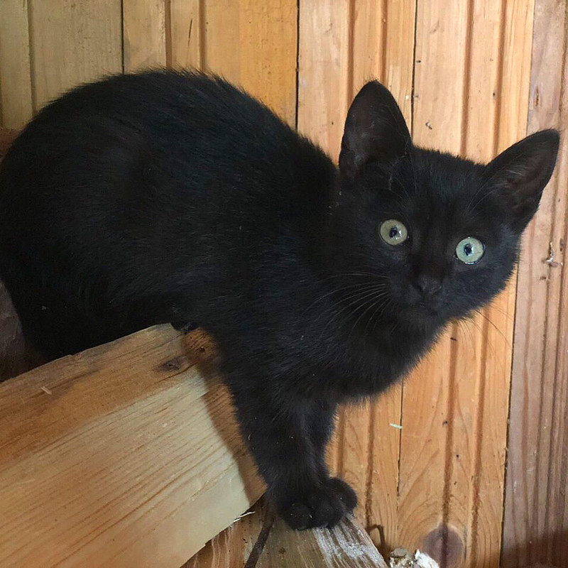 42C7112F-1FB4-4044-86AF-AB43854BADAB