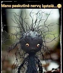 Paveikslėlis
