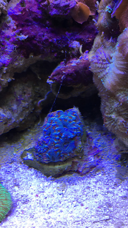 8252F279-FD40-48FB-BBCB-D01B62F1C601