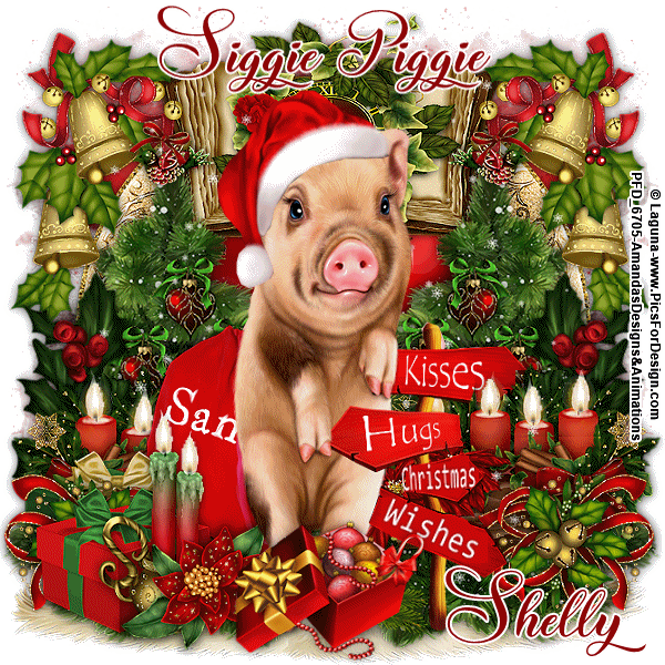 19-Laguna-Christmas-Dreams-Sig-Pig-Shelly