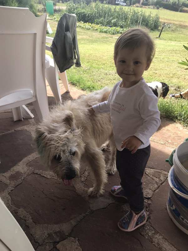 CAA9B397-463F-4F77-94A9-32A5675D7FC9