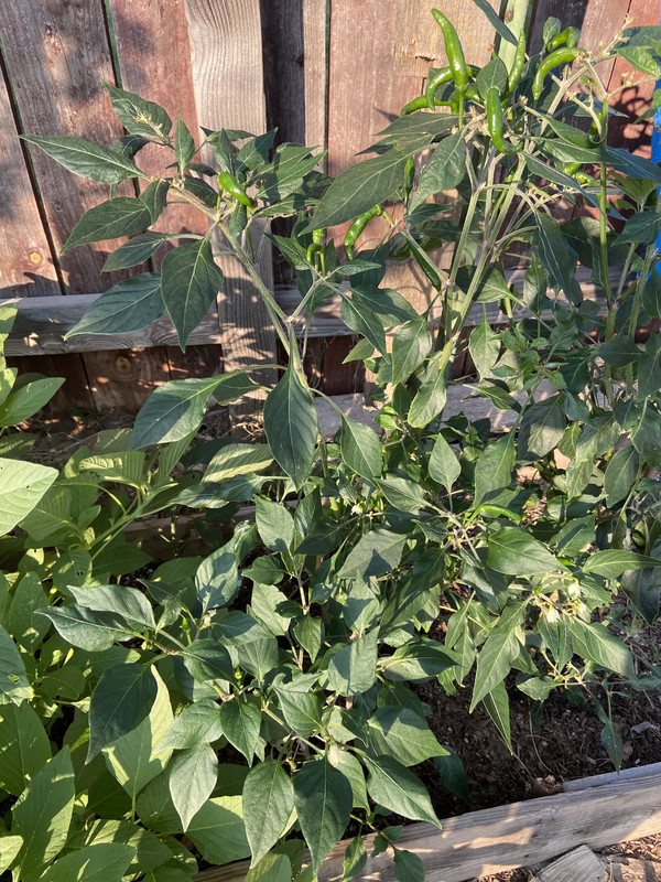 8BCD5CE5-8643-4E7B-92B4-DEB6E1736910