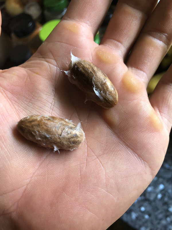 A01B9175-1795-477C-AF48-22D889A31CDB