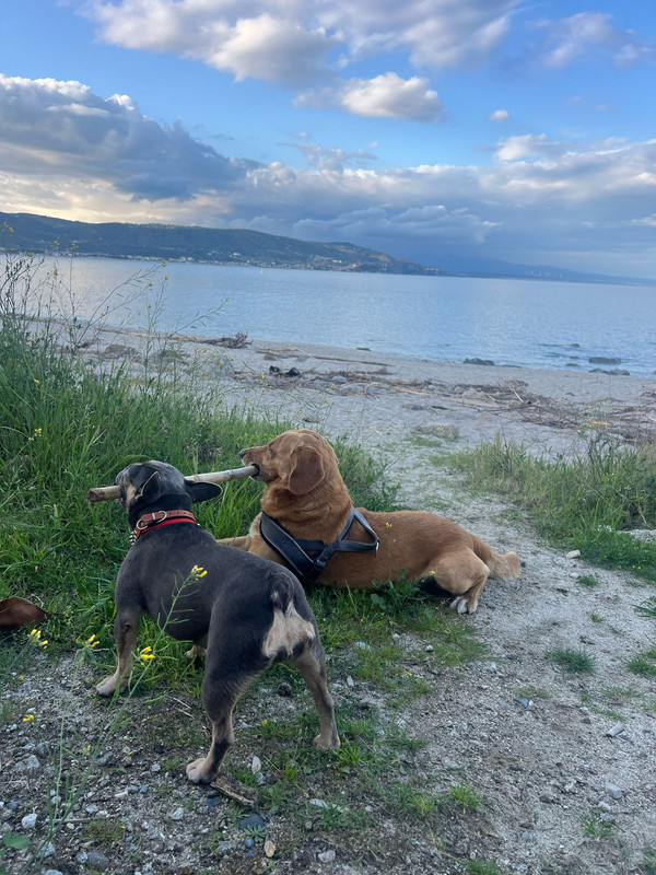 1FC6CD2B-E51A-4BF1-B3D3-42EE9A123FA4