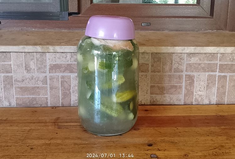 https://i.postimg.cc/SRtdNLVB/uborka-kovaszolni-2-20240701.jpg