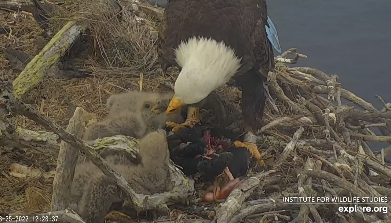 C3DD881C-384B-4C8B-9D2E-6823CE595BD8