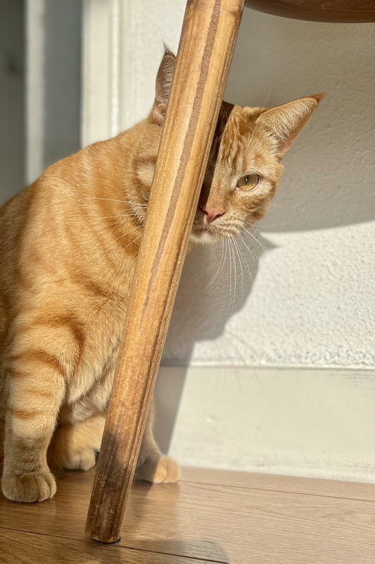 3BEC2199-8A2B-4B59-94BE-31A7456EB8D1