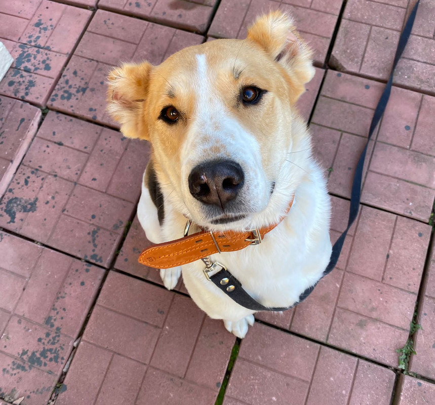 1FBB8AEE-B888-454C-BCFF-C6A051DD35EE