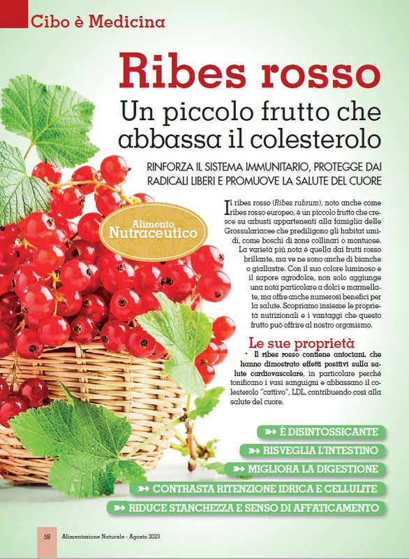 Alim Nat Ago 2023 (5)