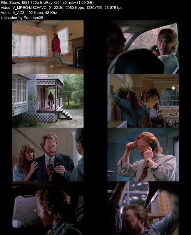 Strays-1991-720p-Blu-Ray-x264-x0r.jpg