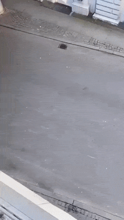 https://i.postimg.cc/SRvQfKFQ/4.gif