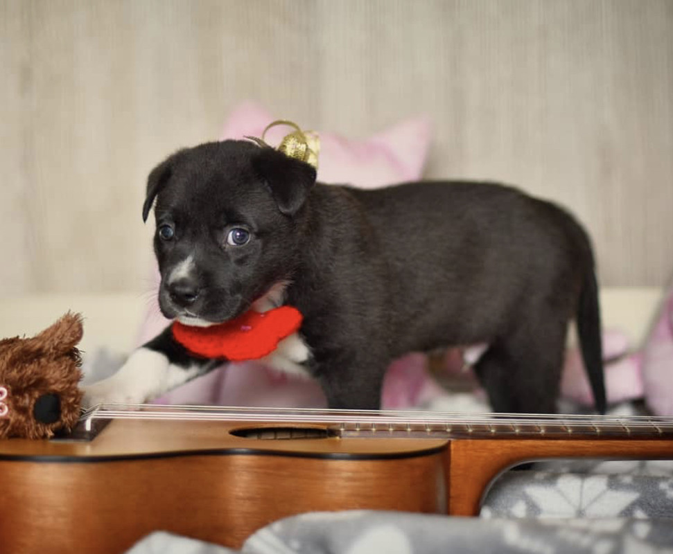 FD77F5BB-048B-47AB-8447-4F624D46D793