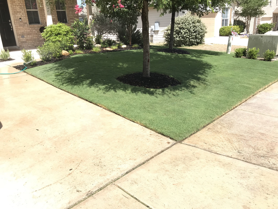 9E72DB80-9B77-4FF8-8D83-DE24878C1DC0