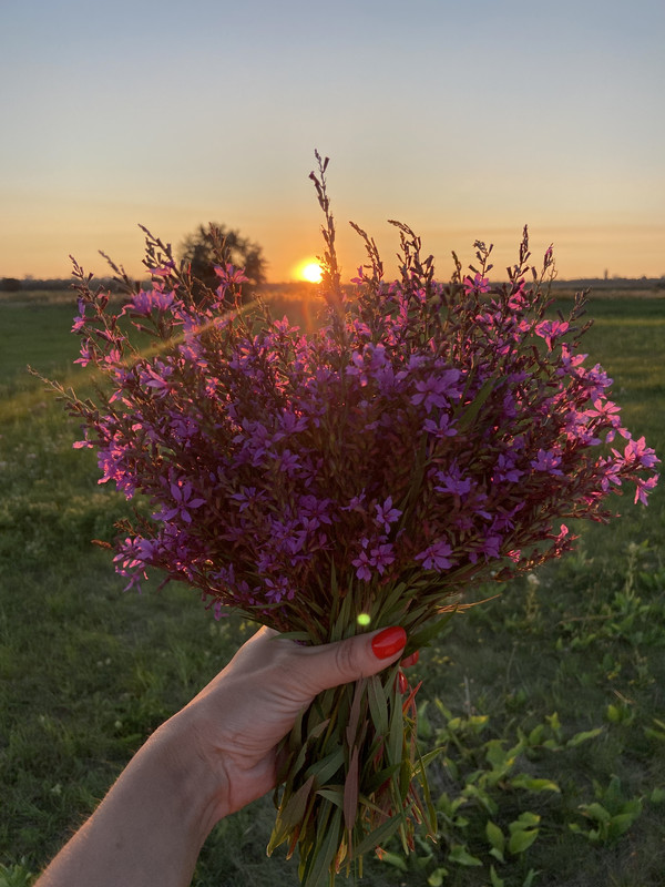IMG 2080 — Postimages