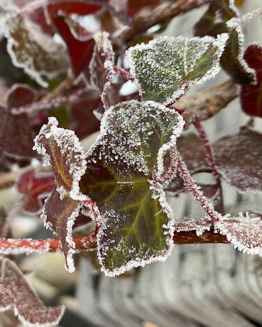 [Image: BE1-CCAE9-B8-C5-465-E-B287-16-CE637-ABE11.jpg]