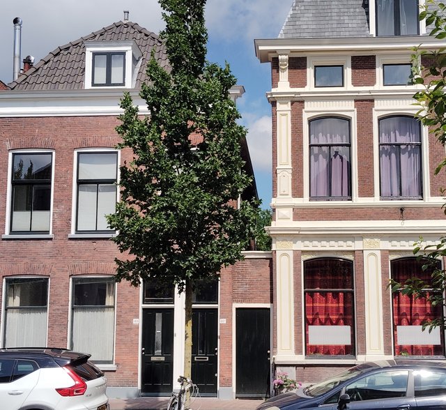 Escapada por Amsterdam - La Haya - Delft - Rotterdam - Leiden - Londres - Blogs de Europa - Museo Mauritshuis, decepcionante Depot Boijmans y callejeo por Delft y Leiden (75)