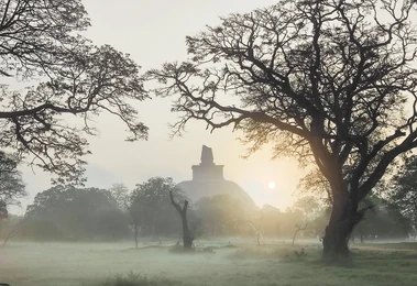 Destination Anuradhapura