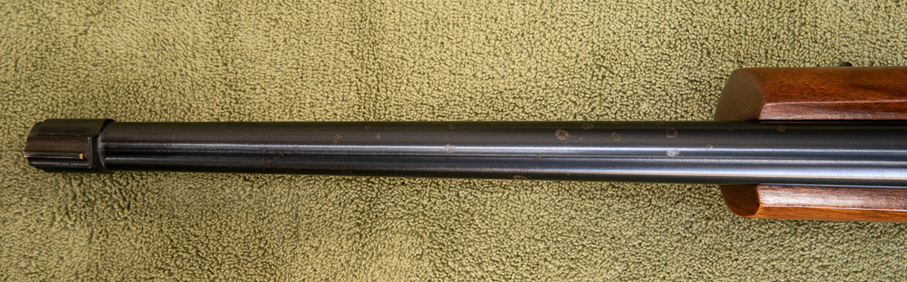 Ed1600Ruger1022For Sale 2018_0013 copy