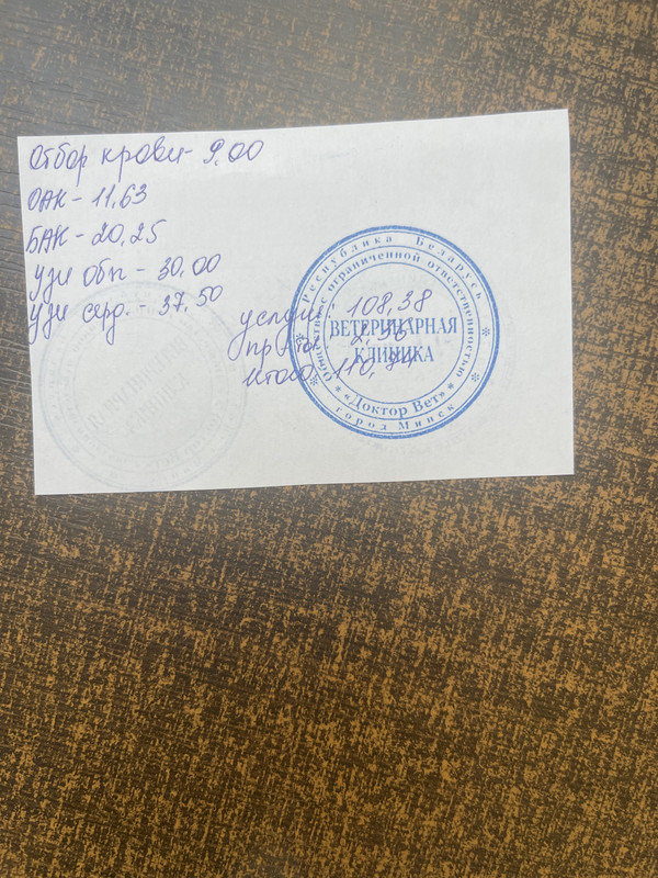 DCDBF546-2F04-48EC-BBE2-6DDE53C6E524