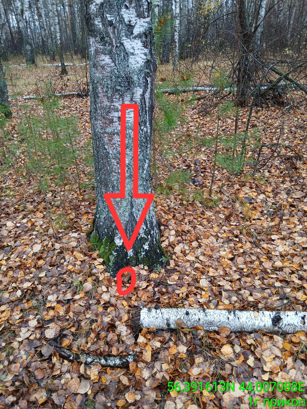 TimePhoto_20251018_121100