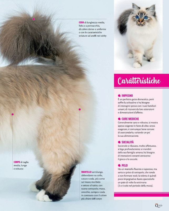 QuattroZampe Ago 2021 (12)