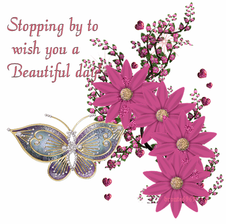 Beautiful-Day-butterfly
