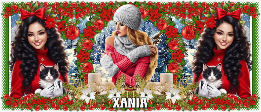 Gatet per Nadal xania