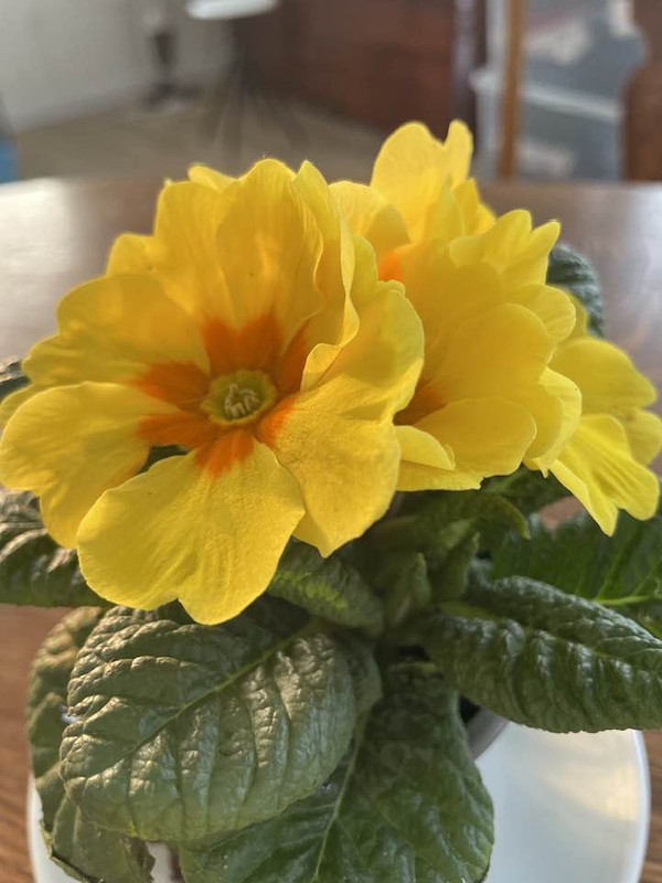 643307397-4161961260613850-8379882178327119920-n