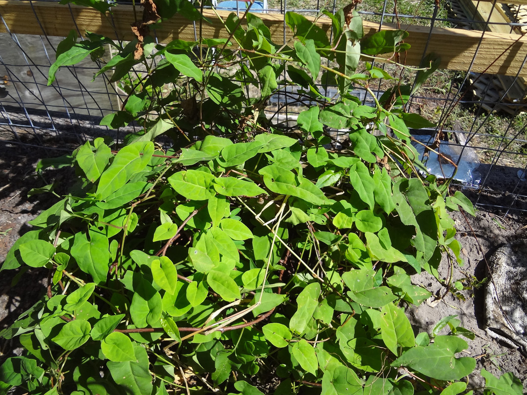 DSC02659