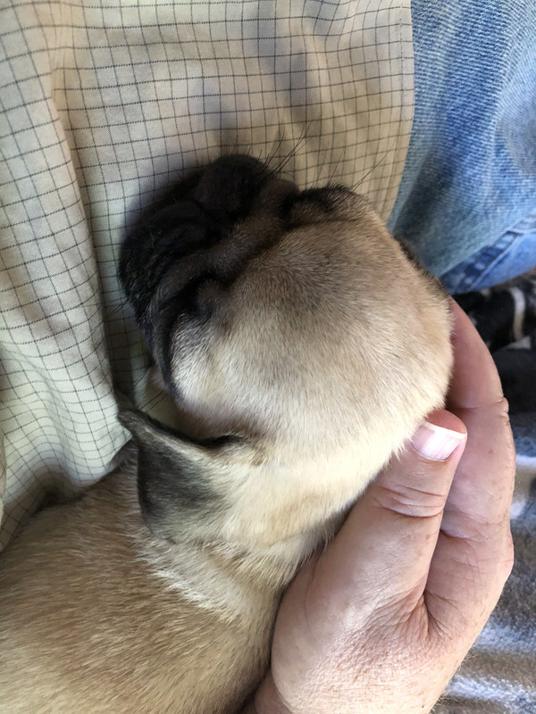 44BE4F33-A725-4CD9-9001-0233BDA7EE45