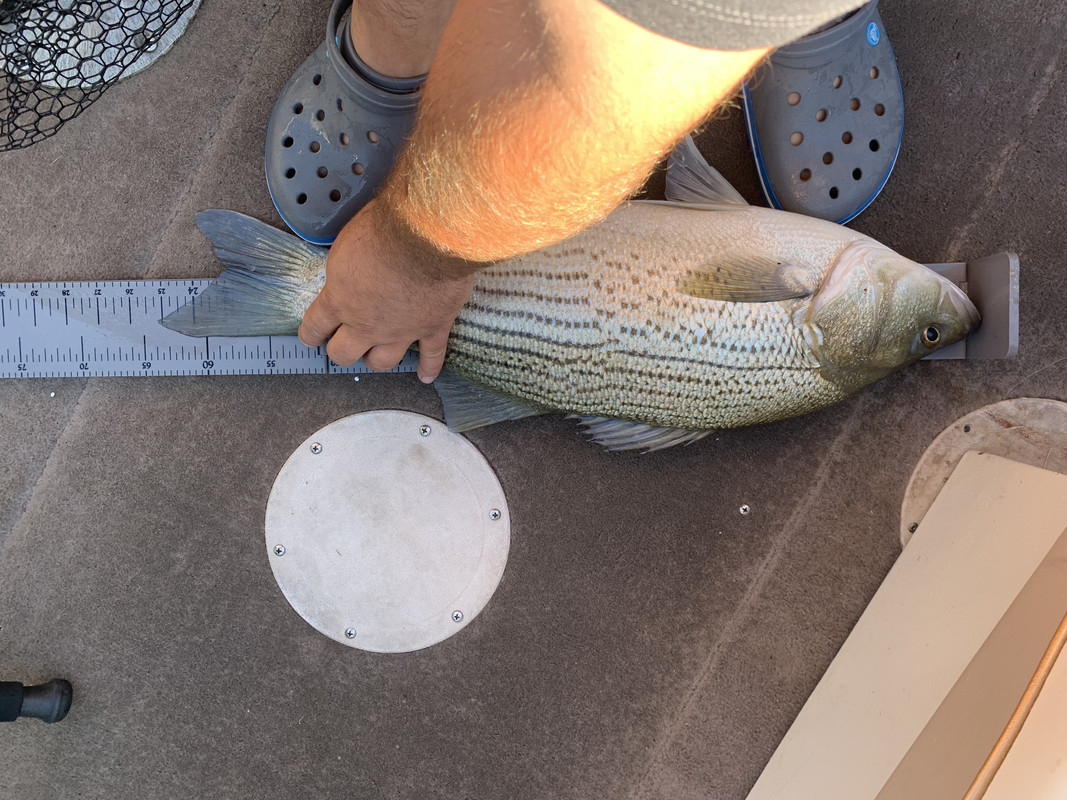 B8ED63CA-6169-400E-848C-07C90F671F89