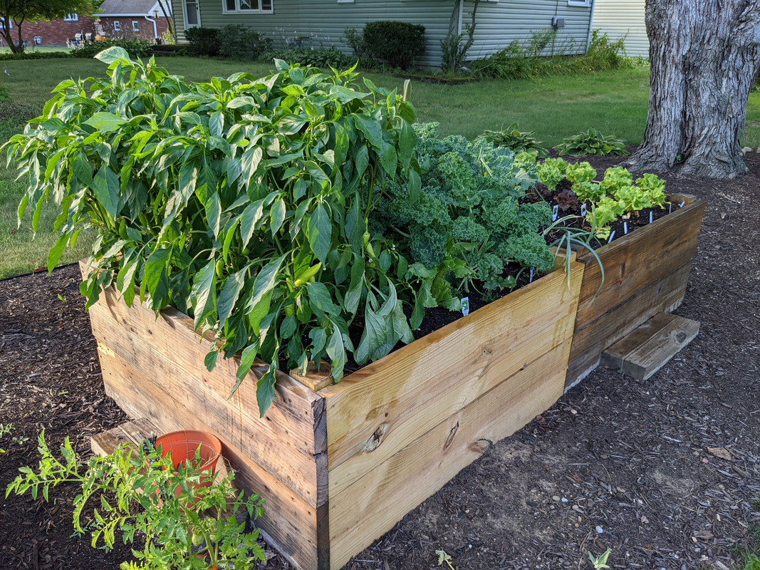 PXL_20220720_232051351.MP