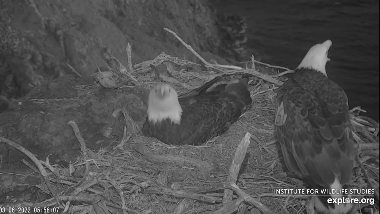 5585BCCD-A04B-46DE-A076-927C8C312456