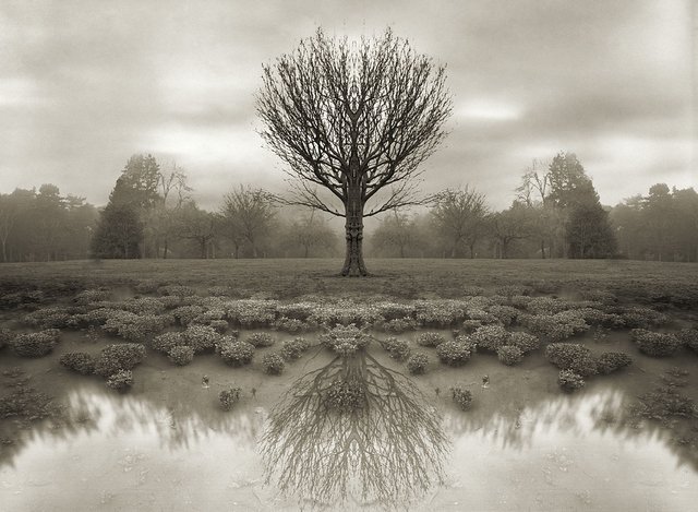https://i.postimg.cc/SRyYgSb4/Alfred-Stieglitz-51.jpg