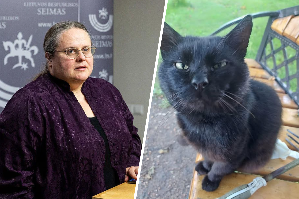 Lithuania On Verge Of Approving Law Requiring Consent Of Lawmaker's Cat To Dismiss Head Of National Broadcaster