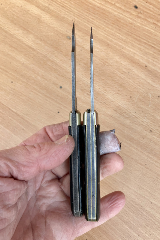 E63AE1D8-DE16-4F2F-9425-51382E16F0CB