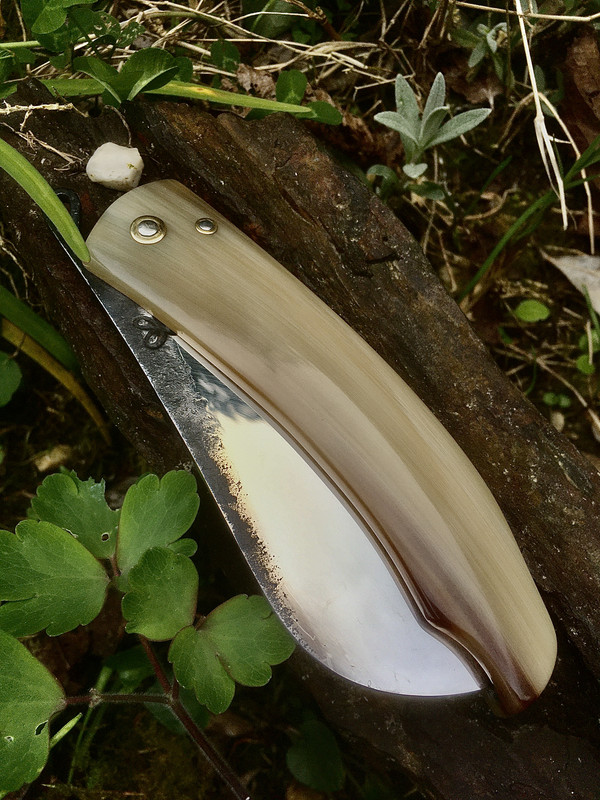 F8E19B14-208A-4B89-ADA7-484DF446A4F8