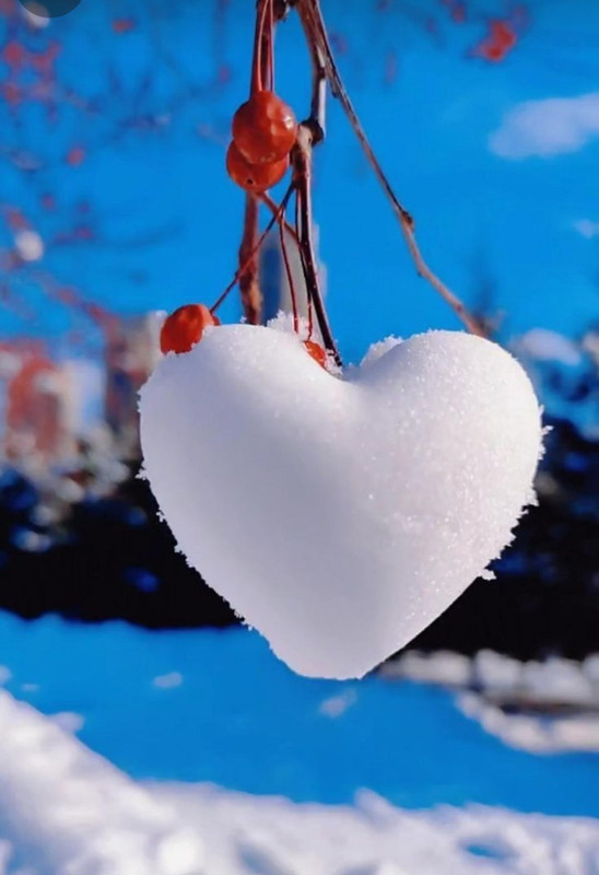 Screenshot_20231205_195134_Pinterest